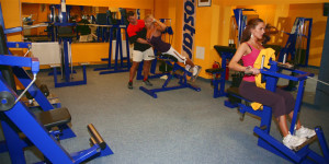Sport