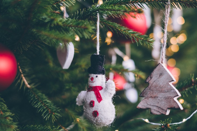 7 tipů od dřevaře Martina Patřičného, aby vánoční stromeček byl co nejdéle krásný