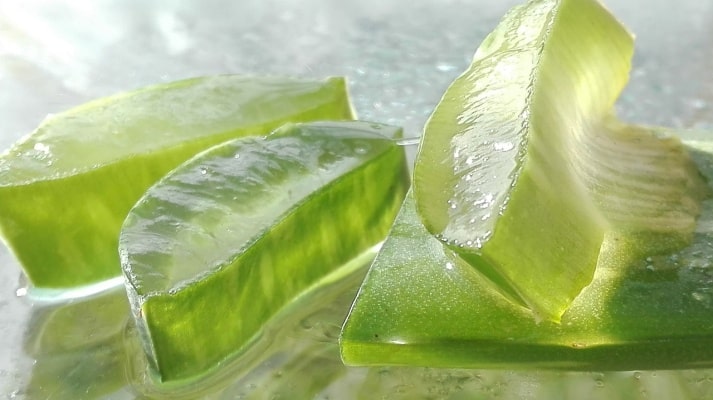 Aloe vera - pokud ji využíváte s rozmyslem, je to malý přírodní poklad
