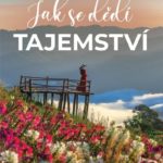 barbara-o-nealova-jak-se-dedi-tajemstvi