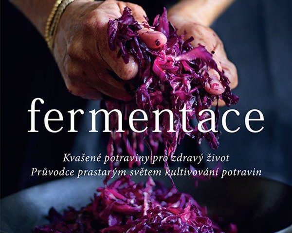Fermentace: Způsob, jak osvěžit jídelníček a prospět imunitě Fermentace: Způsob, jak osvěžit jídelníček a prospět imunitě