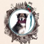 Pas a pes: Divoká dobrodružství nadšeného cestovatele Jakuba Kynčla