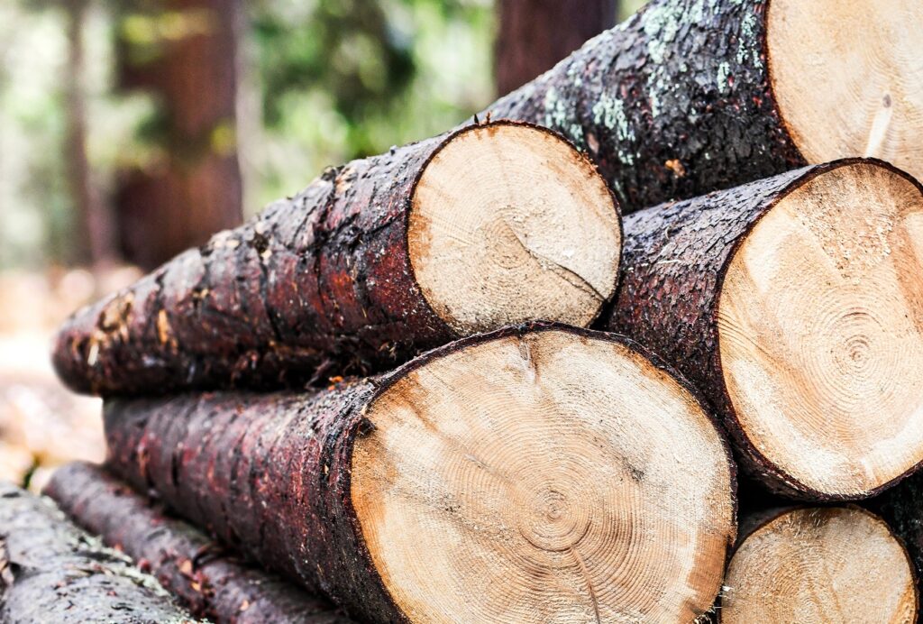 Log trunks pile, the logging timber forest wood industry.