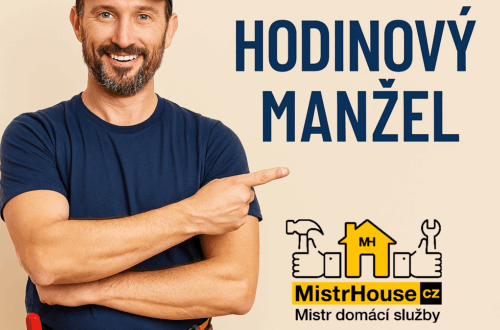 handymanmistrhouse