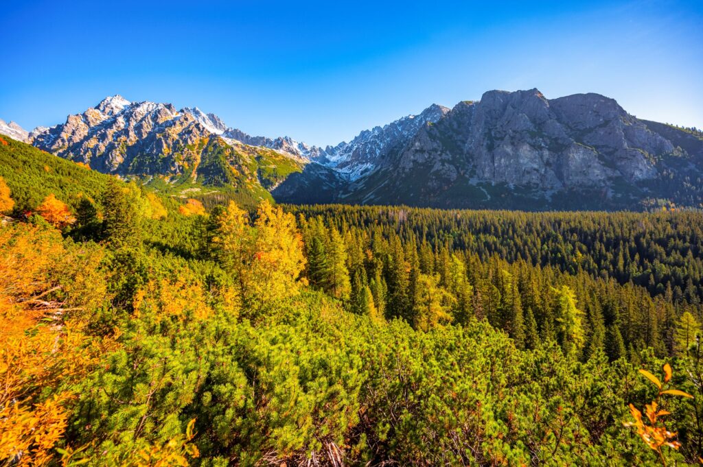 hiking strbske lake popradske lake very popular hiking destination high tatras national park slovakia autumn color nature